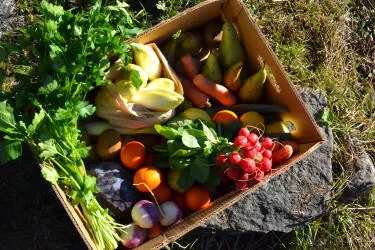 Panier MIXTE bio 8kg France/Italie