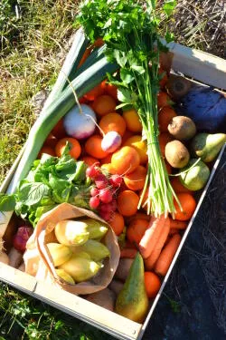 Panier MIXTE bio 10kg France/Italie