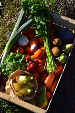 Panier MIXTE bio 6kg France/Italie