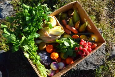 Panier LEGUMES bio 6kg France/Italie